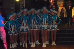 opkomst_nachtuulkes_20150114_1327866126