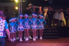 opkomst_nachtuulkes_20150114_1742005764