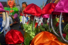optocht_zondag_15-2-2015_20150216_1362682287