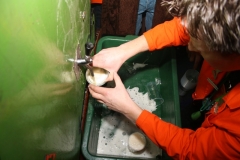 peerkesbal_7-2-2015_deel2_20150212_1267977145
