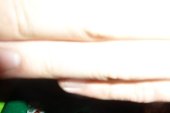 SAM_2285