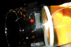 SAM_2313