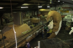 Openloods Siepelreceptie 10-1-20160002