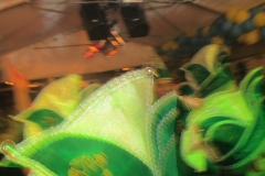 Openloods Siepelreceptie 10-1-20160069