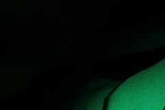 Openloods Siepelreceptie 10-1-20160071