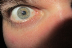 Openloods Siepelreceptie 10-1-20160166