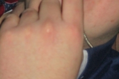 Opkomst henige slepveent 16-1-201600064