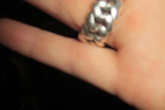 Opkomst henige slepveent 16-1-201600135