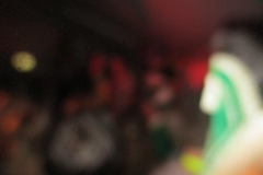 Opkomst henige slepveent 16-1-201600179