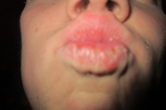 Opkomst henige slepveent 16-1-201600187