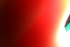 SAM_2449