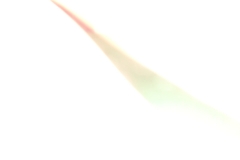 SAM_2451
