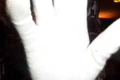 SAM_2656