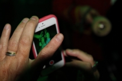 Aftreden Greunen 5-11-201600020