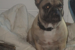 Aftreden Kottelpeern 19-11-201600002