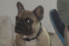 Aftreden Kottelpeern 19-11-201600003