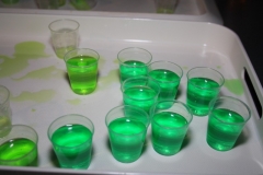 Jonkeropkomst 13-1-201600452