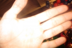 Opkomst Zenderen -1-201700017