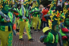 Optocht Zaterdag Tokki 25-2-201700082