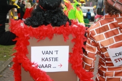 Optocht Zaterdag Tokki 25-2-201700097