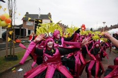 Optocht Zaterdag Tokki 25-2-201700229
