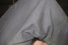 Plakdag 30-12-201600009