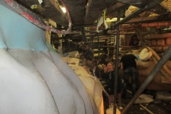 Plakdag 5-2-201700030