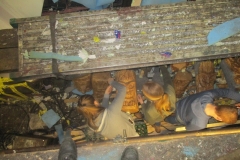 Plakdag 5-2-201700040